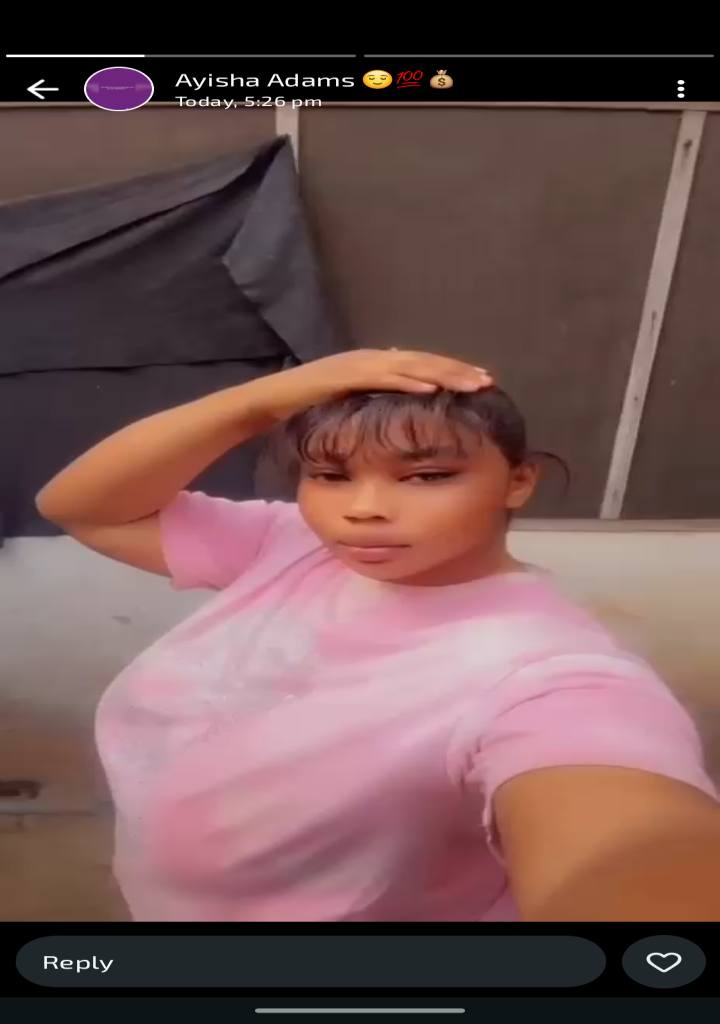 Photo of Rose, nominee code FS02